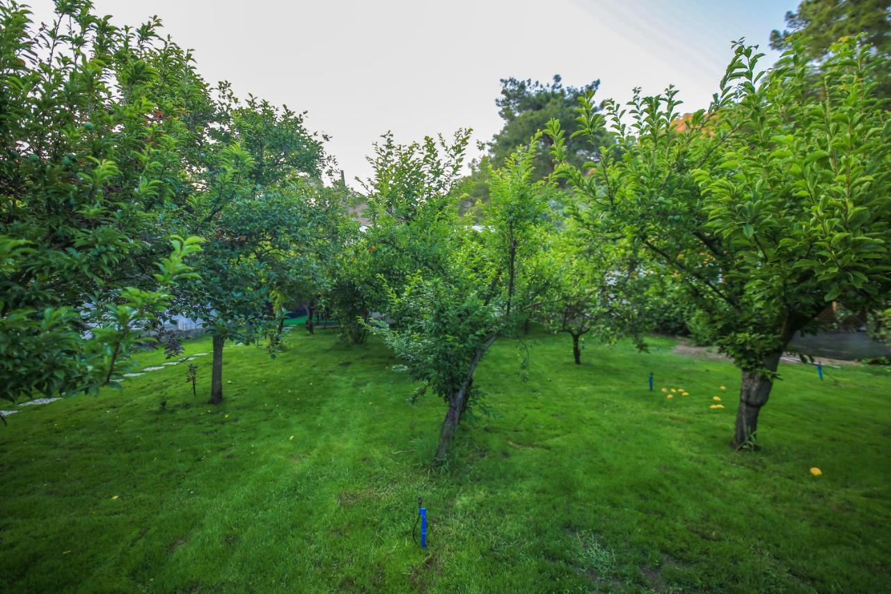Seker Bungalov Apartamento Çıralı Exterior foto