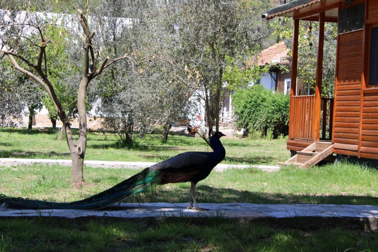 Seker Bungalov Apartamento Çıralı Exterior foto
