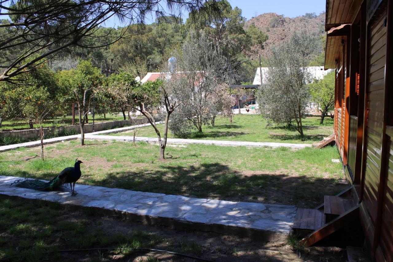 Seker Bungalov Apartamento Çıralı Exterior foto